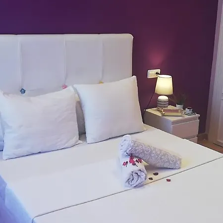 Viva Homestay Valencia